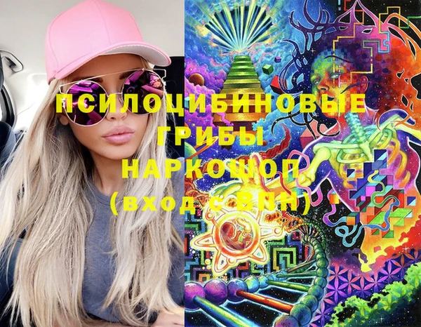 бошки Кулебаки