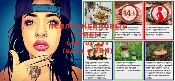 крисы Кукмор
