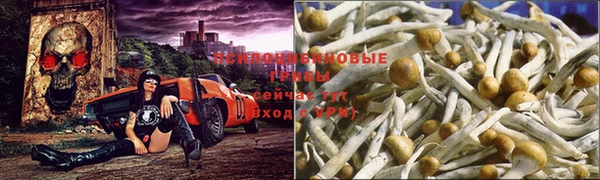 кокаин колумбия Костерёво