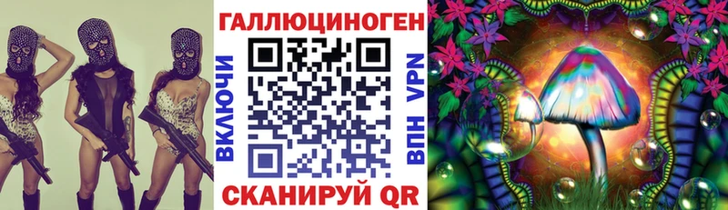Галлюциногенные грибы Psilocybe  Костомукша 
