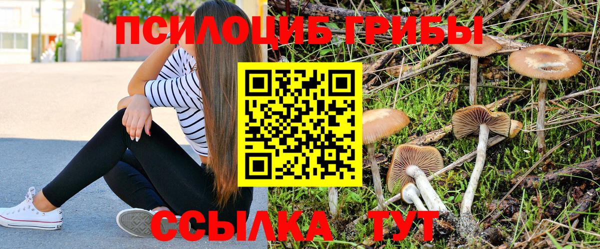 Галлюциногенные грибы мухоморы Костомукша